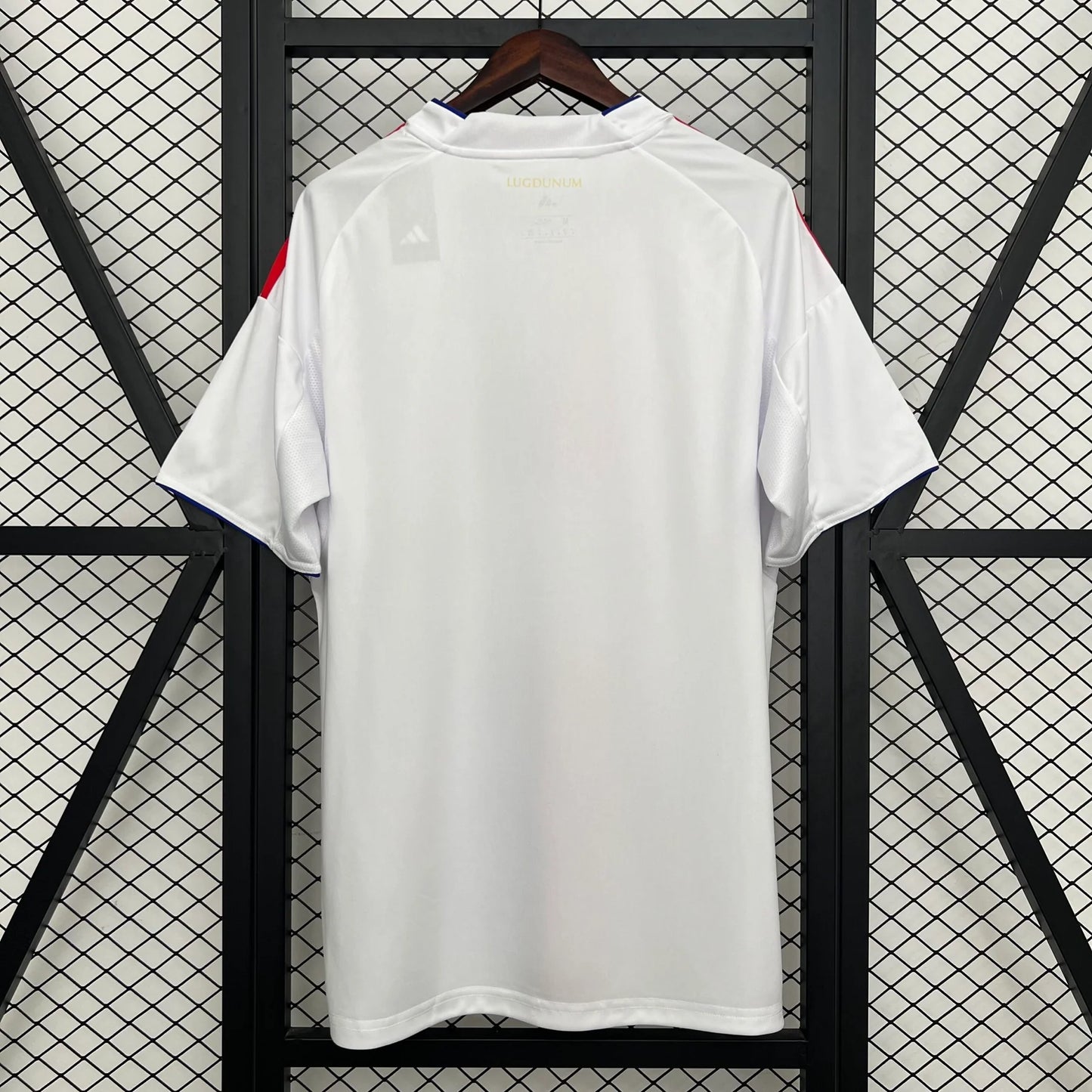 Lyon 25-26 Home (Fan)