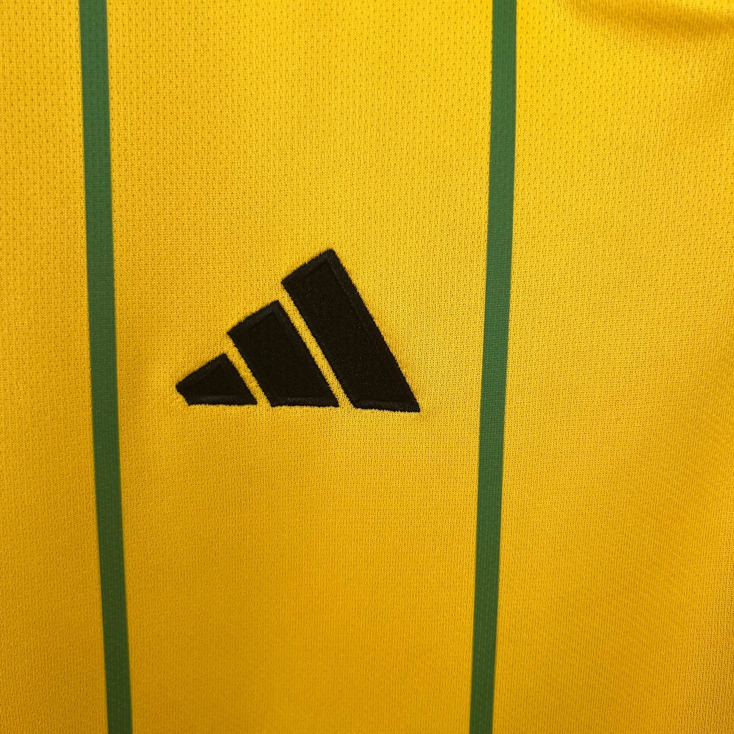 Jamaica 23-24 Home (Fan)
