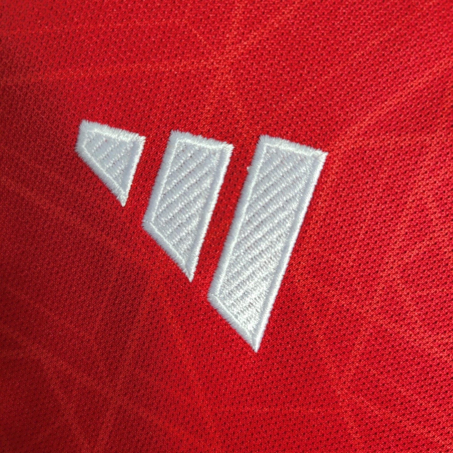 Manchester United 23-24 Home (Fan)