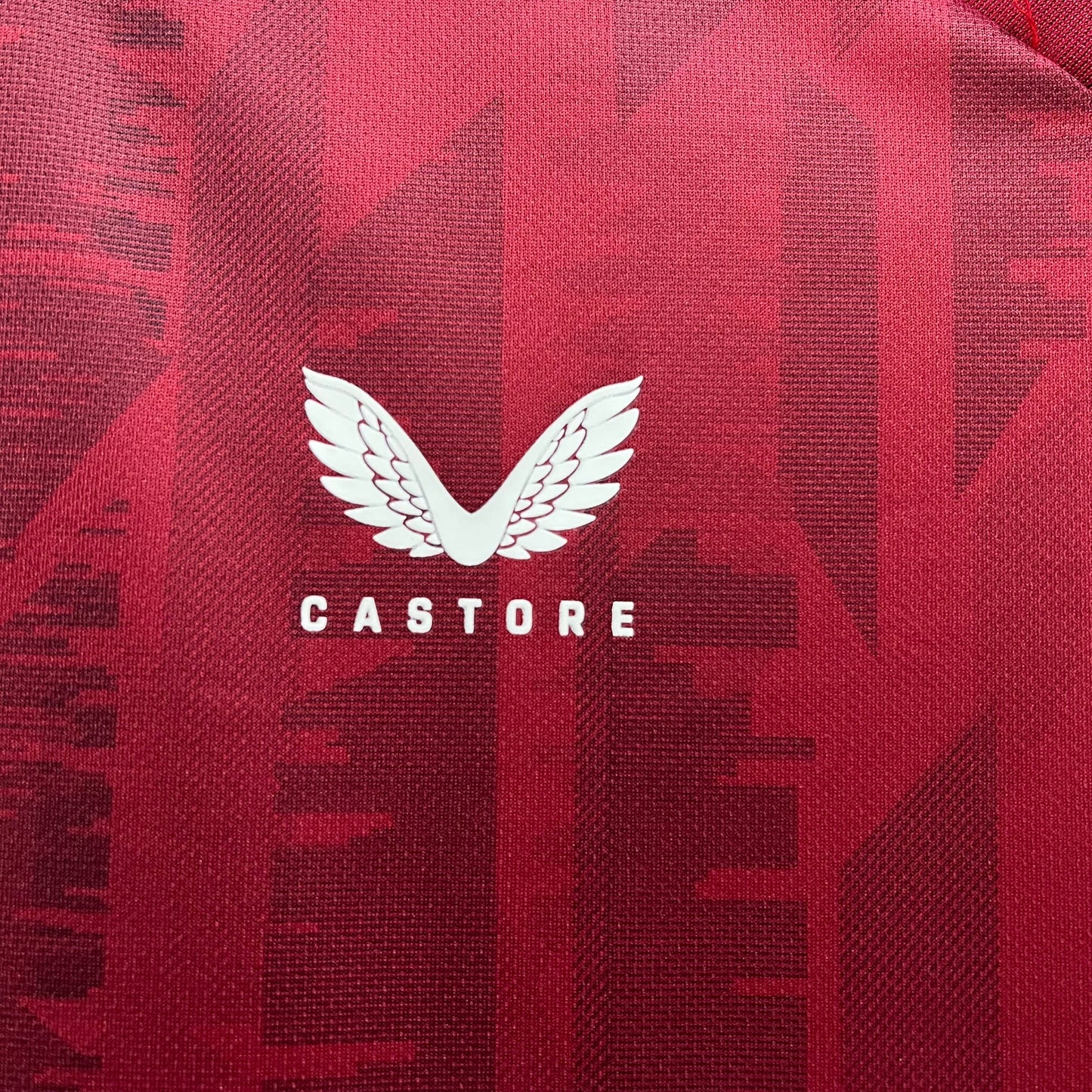 Aston Villa 23-24 Home (Fan)