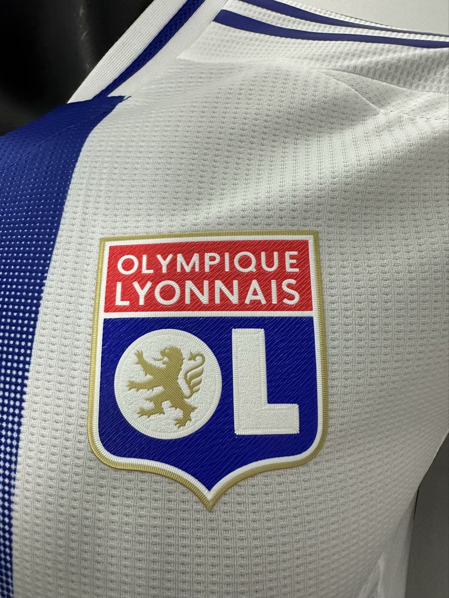 Lyon 24-25 Home (PLAYER)