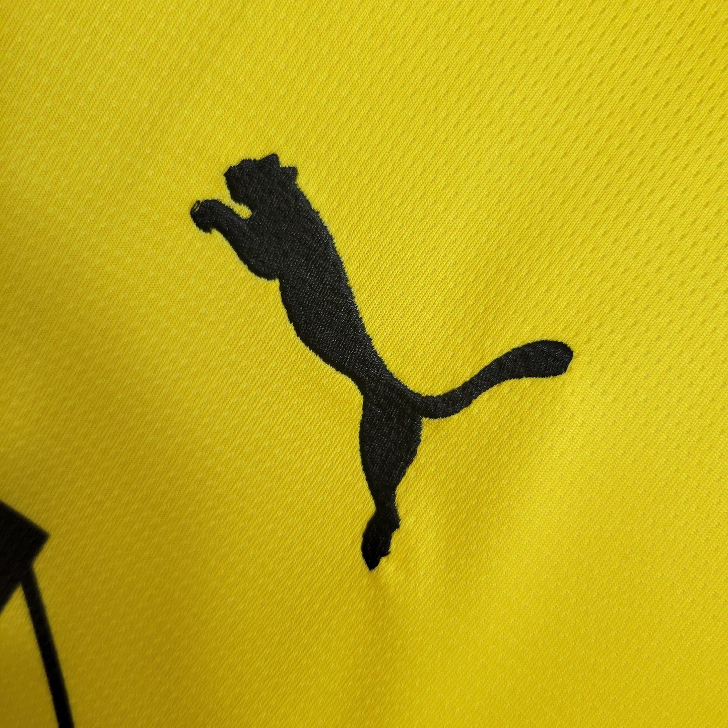 Dortmund 23-24 Home (Fan)